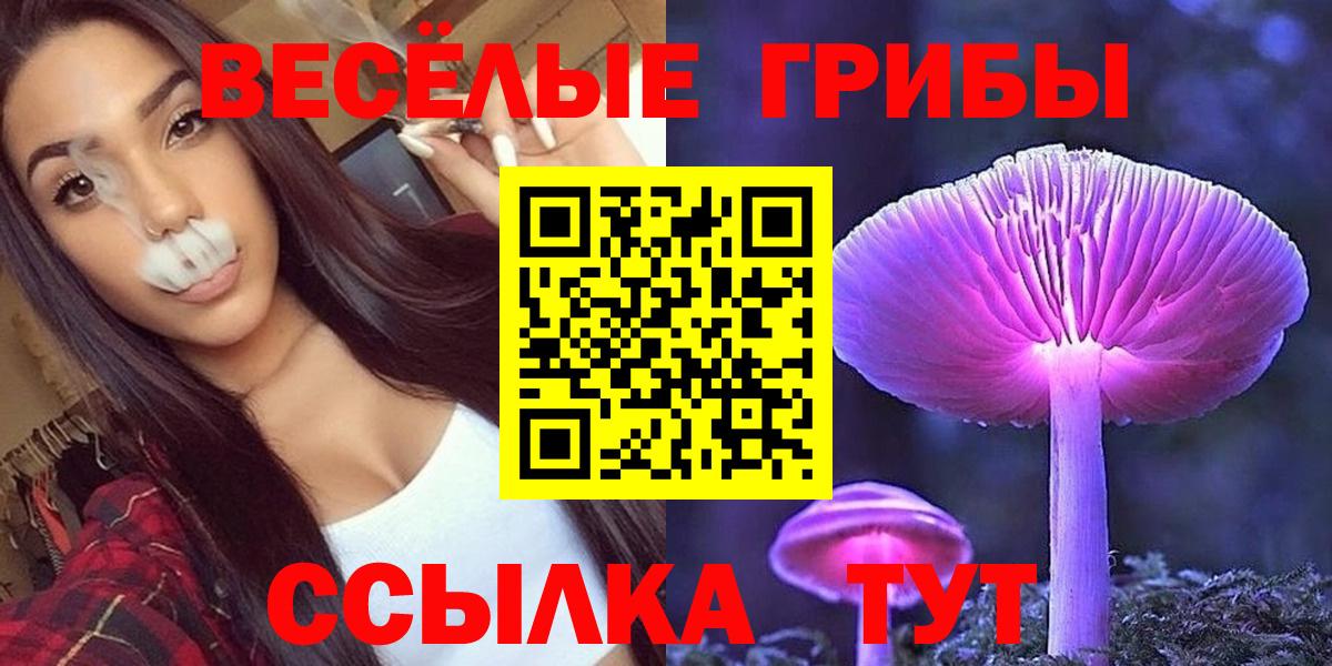 Галлюциногенные грибы Psilocybine cubensis  Галлюциногенные грибы GOLDEN TEACHER  Подольск  Вход с VPN 